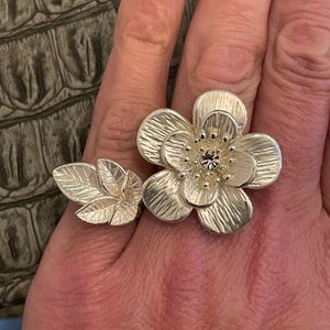 Sterling silver set of two rings one adjustable the other one size 7